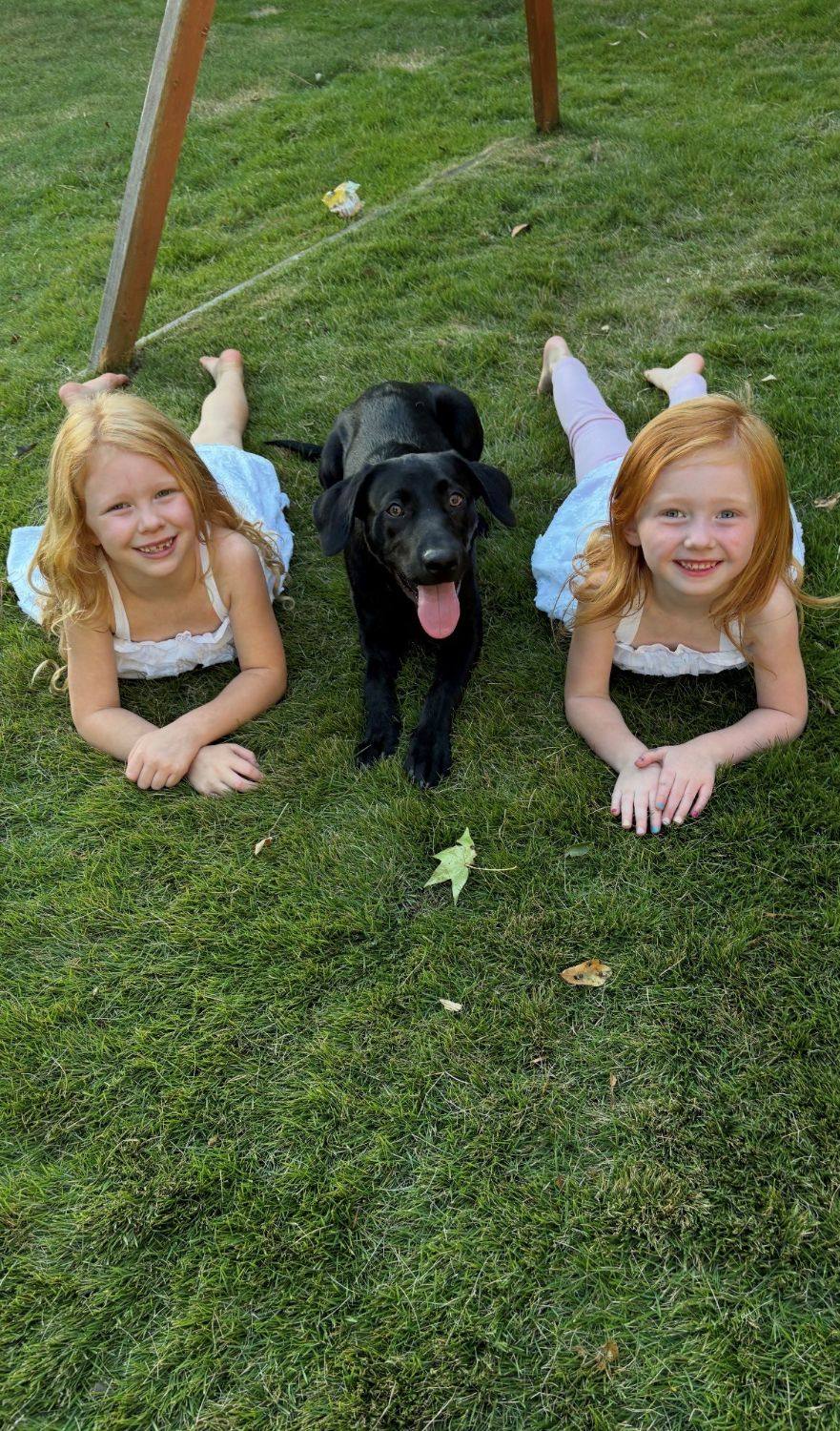 Two young girls and a black Lab puppy lying on a thick, healthy green lawn